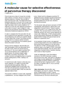 A molecular cause for selective effectiveness of parvovirus therapy discovered