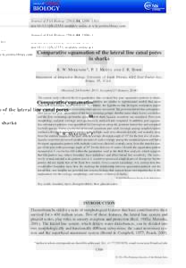 Journal of Fish Biology, 1300–1311 doi:jfb.12353, available online at wileyonlinelibrary.com Comparative squamation of the lateral line canal pores in sharks R. W. Mckenzie*, P. J. Motta and J. R. Roh