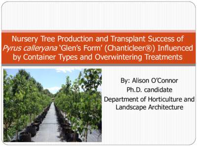 Nursery Tree Production and Transplant Success of Pyrus calleryana ‘Glen’s Form’ (Chanticleer®) Influenced by Container Types and Overwintering Treatments By: Alison O’Connor Ph.D. candidate Department of Hortic