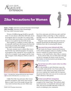 ENTOZika Precautions for Women Sonja L. Swiger, Extension Livestock/Veterinary Entomologist Mike Merchant, Extension Urban Entomologist