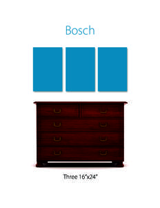 Bosch  Three 16”x24” 