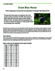 student handout  Great Blue Heron The great blue heron plays an important role in the aquatic (water) ecosystems of CVNP. These birds are highly dependent upon the quality of their habitats.
