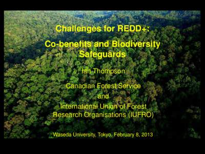 Challenges for REDD+: Co-benefits and Biodiversity Safeguards Ian Thompson Canadian Forest Service and