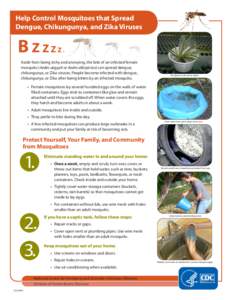 Help Control Mosquitoes that Spread Dengue, Chikungunya, and Zika Viruses B ZZZ  Z.