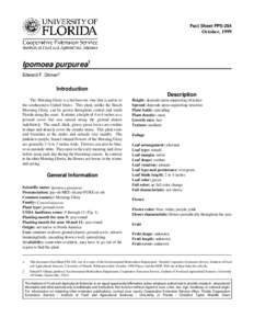 Fact Sheet FPS-284  October, 1999 Ipomoea purpurea1 Edward F. Gilman2