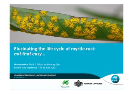 Morin-myrtle rust life cycle-24 July 2013-compressed