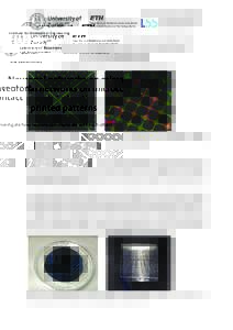 Institute for Biomedical Engineering Laboratory of Biosensors and Bioelectronics Neuronal networks on microcontact printed patterns