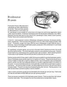 Freshwater Prawns Freshwater Prawns (Macrobrachium rosenbergii) are often called freshwater shrimp. There are many species of Macrobrachium in the world, but M. rosenbergii is most suitable for culture due to its large s