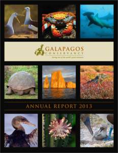 ANNUAL REPORT 2013  Philornis Working Group participants Collaboration for Conservation