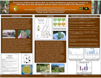 Occurrence of White Pine Blister Rust on Cultivated Resistant and and Immune Varieties of Ribes Species in New Hampshire and the Impact to Local White Pine Resources Resources Jen Weimer, NH Division of Forests and Lands