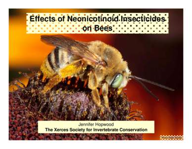 Effects of Neonicotinoid Insecticides on Bees Jennifer Hopwood The Xerces Society for Invertebrate Conservation Photo: Rollin Coville