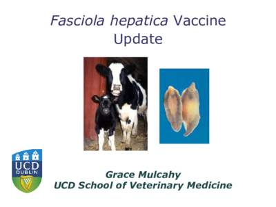 Fasciola hepatica Vaccine Update Grace Mulcahy UCD School of Veterinary Medicine