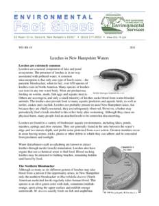 WD-BB[removed]Leeches in New Hampshire Waters Leeches are extremely common