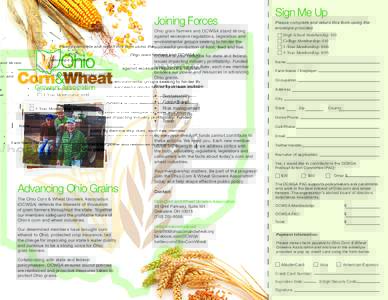 Ethanol / Ethanol fuel / Corn ethanol / Maize / National Association of Wheat Growers