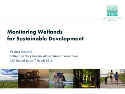 Monitoring Wetlands for Sustainable Development Dr. Ania Grobicki Acting Secretary General of the Ramsar Convention GEO Round Table, 7 March 2016