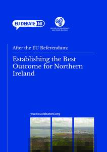 After the EU Referendum:  Establishing the Best Outcome for Northern Ireland