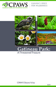 CANADA’S VOICE FOR WILDERNESS Gatineau Park: A Threatened Treasure