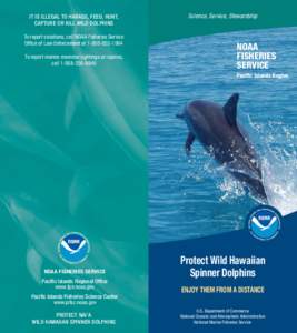IT IS ILLEGAL TO HARASS, FEED, HUNT, CAPTURE OR KILL WILD DOLPHINS To report violations, call NOAA Fisheries Service Office of Law Enforcement at[removed]To report marine mammal sightings or injuries, call[removed]