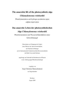 The anaerobic life of the photosynthetic alga Chlamydomonas reinhardtii Photofermentation and hydrogen production upon
