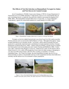 The Effects of Nest Site Selection on Diamondback Terrapin Sex Ratios and Nest Success in Coastal Georgia In its Comprehensive Wildlife Conservation Strategy (CWCS), Georgia Department of Natural Resources (GA DNR) ident
