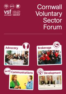 Cornwall Voluntary Sector Forum Advocacy