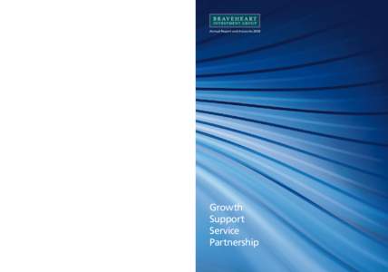 Braveheart Investment Group Annual Report and AccountsThe Cherrybank Centre Cherrybank Gardens Perth PH2 0PF