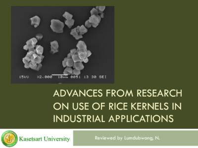 ADVANCES FROM RESEARCH ON USE OF RICE KERNELS IN INDUSTRIAL APPLICATIONS Reviewed by Lumdubwong, N.  RICE ENDOSPERM