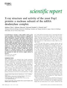 scientific report scientificreport X-ray structure and activity of the yeast Pop2 protein: a nuclease subunit of the mRNA deadenylase complex