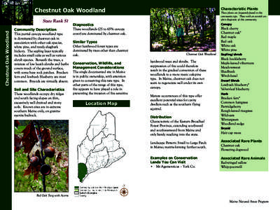 Chestnut Oak Woodland  Chestnut Oak Woodland State Rank S1 Community Description