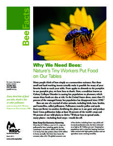 Bee Facts Why We Need Bees: Nature’s Tiny Workers Put Food on Our Tables For more information, please contact: