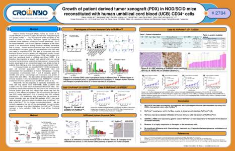 Growth of patient derived tumor xenograft (PDX) in NOD/SCID mice + reconstituted with human umbilical cord blood (UCB) CD34 cells # 2784
