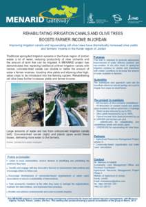 REHABILITATING IRRIGATION CANALS AND OLIVE TREES BOOSTS FARMER INCOME IN JORDAN Improving irrigation canals and rejuvenating old olive trees have dramatically increased olive yields and farmers’ income in the Karak reg