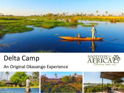 Delta Camp An Original Okavango Experience Delta Camp Delta Camp is set in the forest of a large, beautiful and palm-studded island on the south western edge of Chiefʼs Island, bordering the Moremi Game Reserve in the