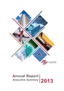 Annual Report  Executive Summary 2013