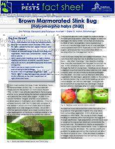 Published by Utah State University Extension and Utah Plant Pest Diagnostic Laboratory  ENTBrown Marmorated Stink Bug
