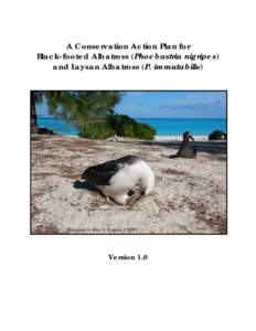 A Conservation Action Plan for Black-footed Albatross (Phoebastria nigripes) and Laysan Albatross (P. immutabilis) Version 1.0