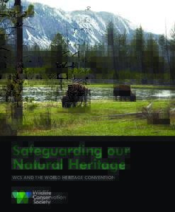 Safeguarding our Natural Heritage WCS AND THE WORLD HERITAGE CONVENTION Human activity is transforming our planet.