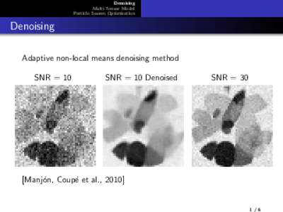 Denoising Multi-Tensor Model Particle Swarm Optimization Denoising Adaptive non-local means denoising method