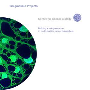 Postgraduate Projects  Centre for Cancer Biology Building a new generation of world-leading cancer researchers
