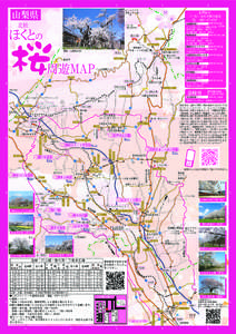 桜マップ　2015　バス時刻表入 [更新済み]