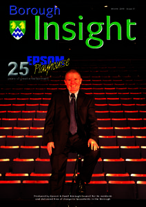 Borough  Winter 2009 Issue 41 Insight