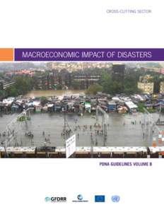 CROSS-CUTTING SECTOR  MACRO­ECONOMIC IMPACT OF DISASTERS PDNA GUIDELINES VOLUME B