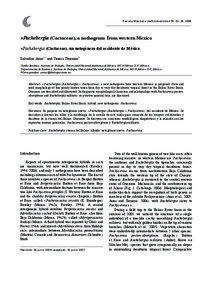 Revista Mexicana de Biodiversidad 79: 23- 28, 2008  ×Pachebergia (Cactaceae), a nothogenus from western Mexico