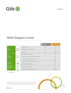 Microsoft Word - Qlik Support Levels - For Web