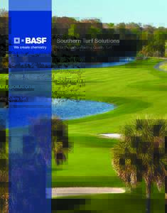 Southern Turf Solutions Your Guide to Healthy, Quality Turf Dr. Kathie Kalmowitz  Wes Eppele - Region 5