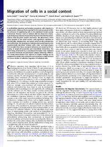 Migration of cells in a social context Søren Vedela,1, Savas¸ Tayb,1, Darius M. Johnstonc,d,e, Henrik Bruusa, and Stephen R. Quakec,d,e,2 a Department of Micro- and Nanotechnology, Technical University of Denmark, DK-2