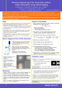 Reverse-engineering of the visual brain cortical maps computation using optical-imaging P. Kornprobst1, F. Chavane2, A. Reynaud2, and T. Viéville1 (1) Projet Odyssée - INRIA Sophia-Antipolis, ENS, ENPC (France) Contact