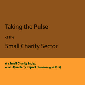 Taking the Pulse of the Small Charity Sector the Small Charity Index results Quarterly Report (June to August 2014)