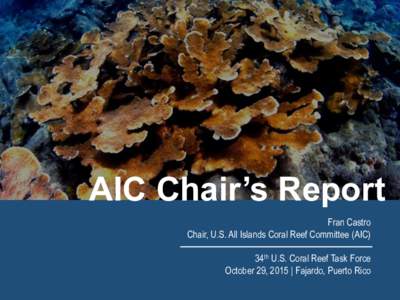 AIC Chair’s Report Fran Castro Chair, U.S. All Islands Coral Reef Committee (AIC) 34th U.S. Coral Reef Task Force October 29, 2015 | Fajardo, Puerto Rico