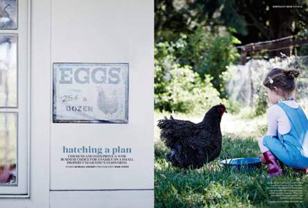KENTUCK Y NSW PEOPLE  hatching a plan chickens and eggs prove a wise business choiCe for a family on a small